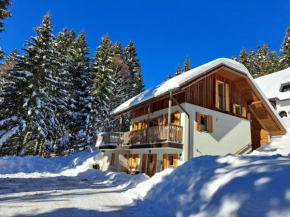 Chalet Harmony Rogla - apartment